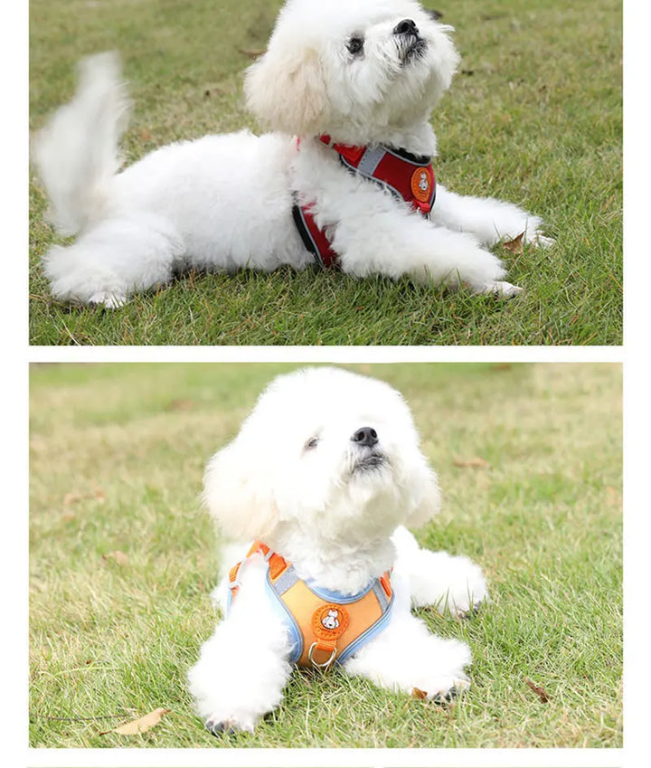 Breathable, adjustable & comfortable Stornfield dog harness