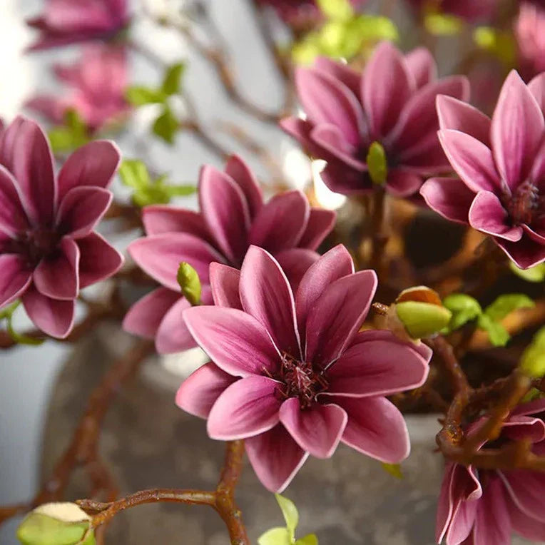 Stornfield | Artificial Magnolia Flowers