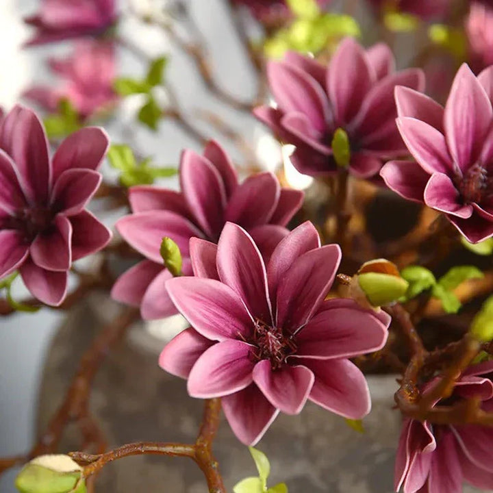Stornfield | Artificial Magnolia Flowers