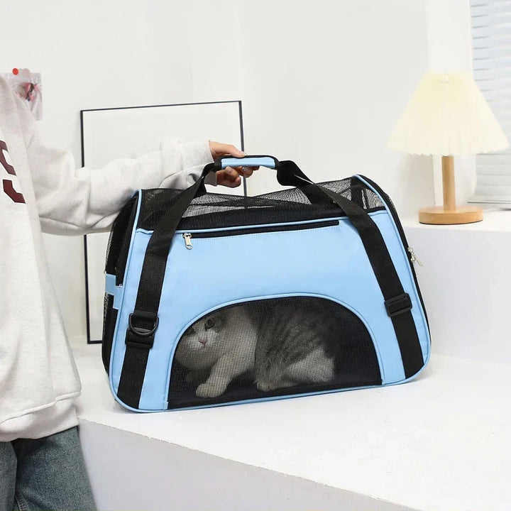 Foldable Pet Carrier for Travel Stornfield