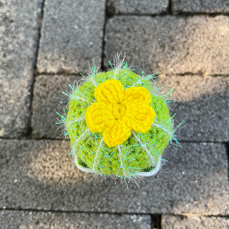 Cactus Plant (Hand-Knitted)