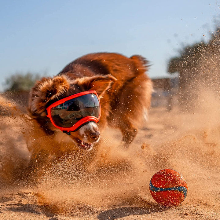 Stornfield adjustable windproof dog sunglasses with UV protection