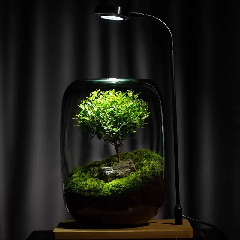 Micro Landscape Green Oasis Glass Vase | Stornfield