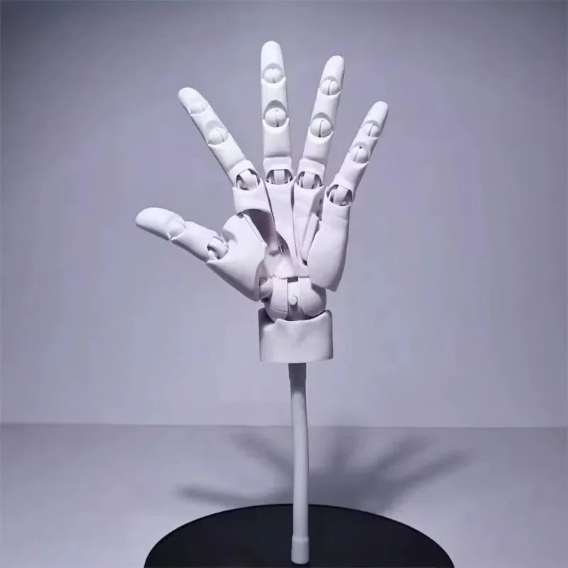 Multi-Pose Drawing Sculpting Art Hand Model | Stornfield