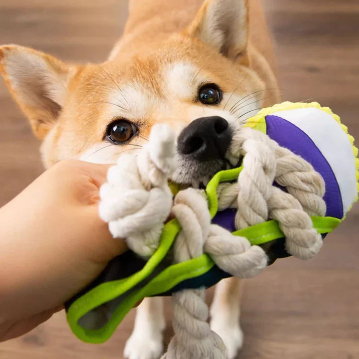 Stornfield Robust Dog Sneaker Toy with Rope and Squeaker