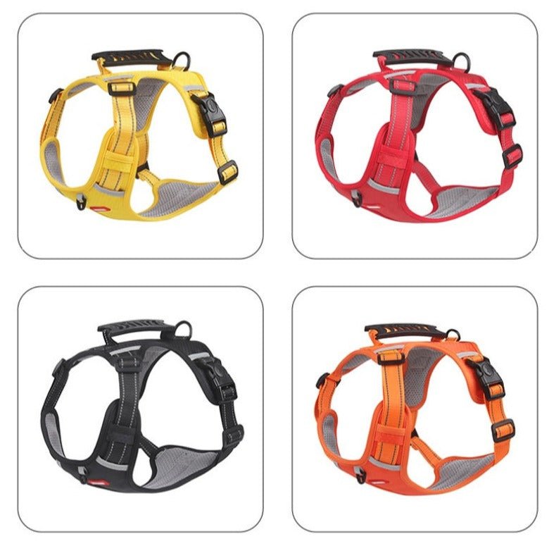 DogGrip Walk safely with your dog | Stornfield