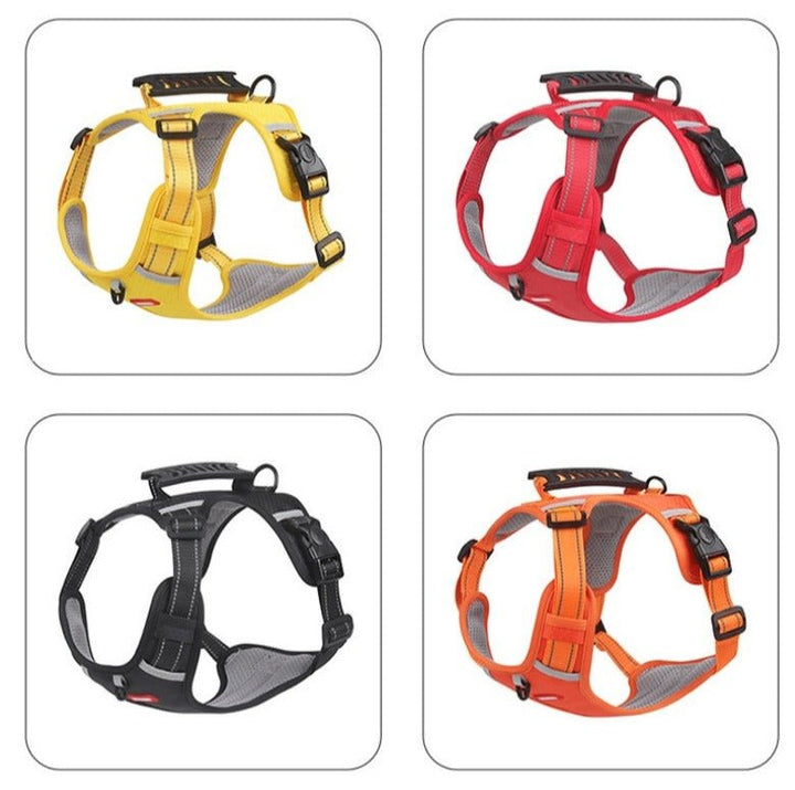 DogGrip Walk safely with your dog | Stornfield
