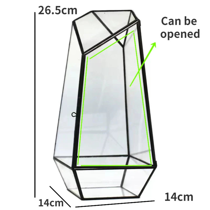 Modern Geometric Nature-Inspired Botanical Terrarium | Stornfield