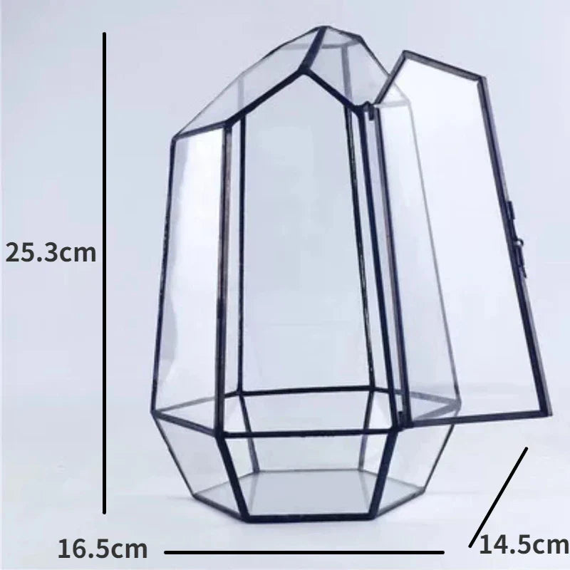 Modern Geometric Nature-Inspired Botanical Terrarium | Stornfield