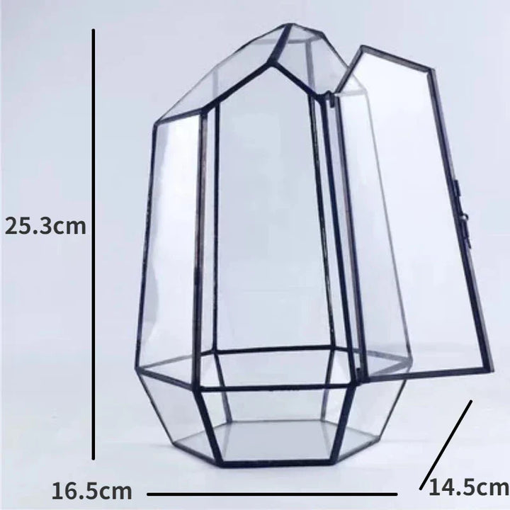 Modern Geometric Nature-Inspired Botanical Terrarium | Stornfield