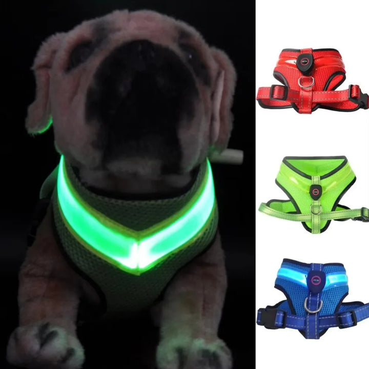 LED Dog Harness USB Rechargeable & Adjustable Stornfield