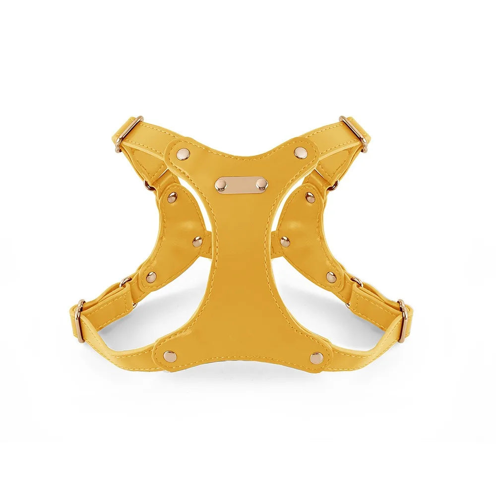 Adjustable Leather Dog Harness with Custom Engraving Stornfield