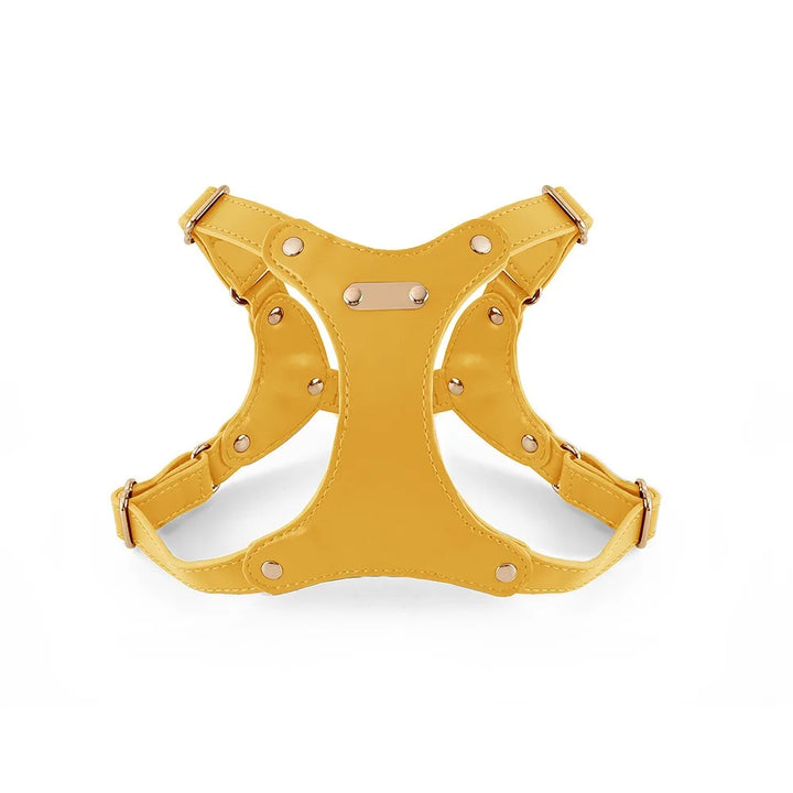 Adjustable Leather Dog Harness with Custom Engraving Stornfield