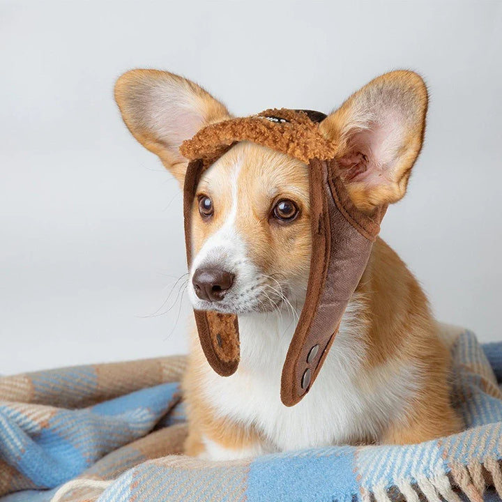 Winter pilot cap for pets warm and comfortable Stornfield
