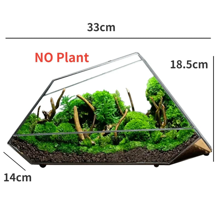 Geometric Glass Moss Planter Terrarium Vase | Stornfield