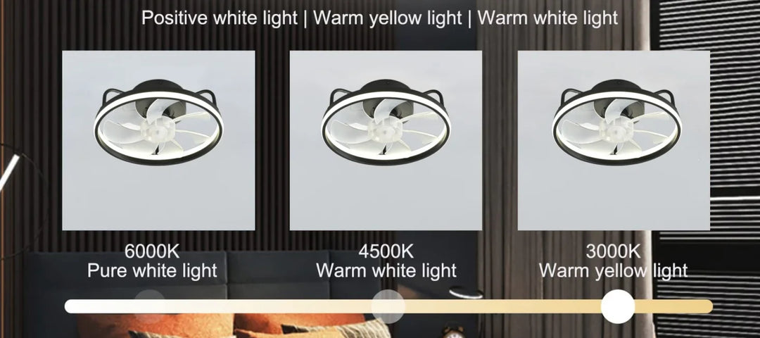 Modern LED Ceiling Fan Light with DC Motor - 6 Speed, Timer, Low Floor Attic Fan, Remote Control Decorative Light | Stornfield