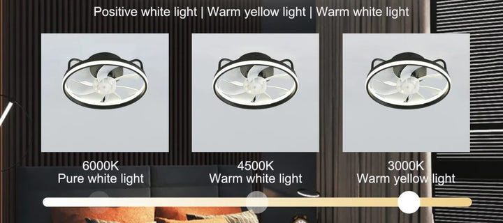 Modern LED Ceiling Fan Light with DC Motor - 6 Speed, Timer, Low Floor Attic Fan, Remote Control Decorative Light | Stornfield