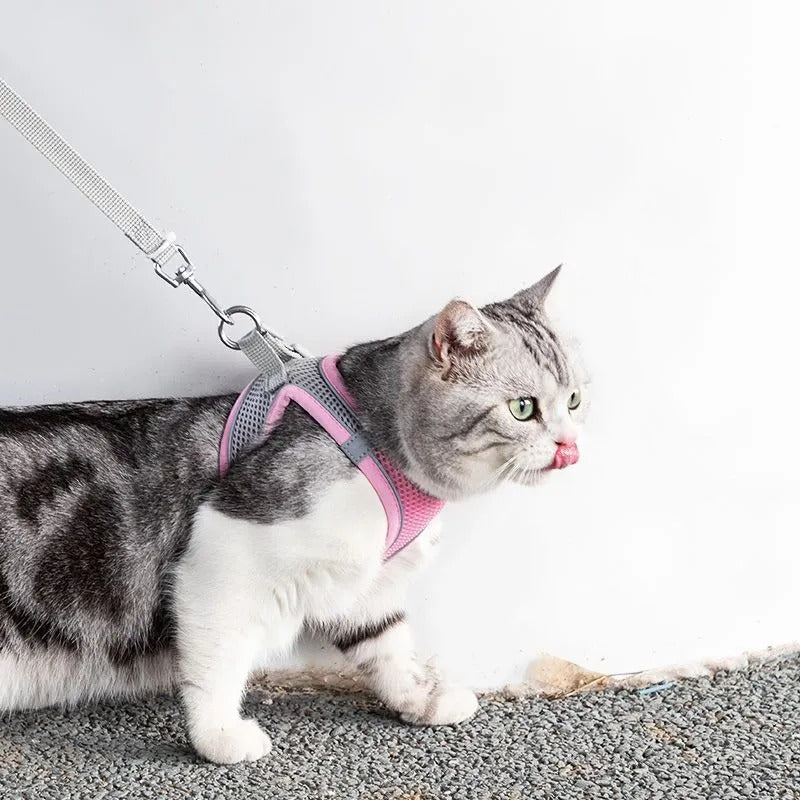 Adventurous Cat Harness with Leash – Adjustable and Reflective | Stornfield
