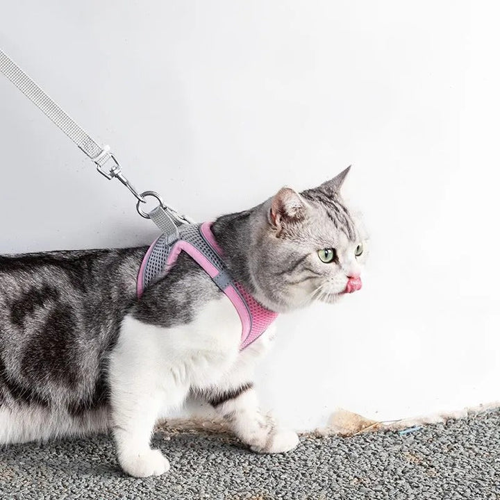 Adventurous Cat Harness with Leash – Adjustable and Reflective | Stornfield