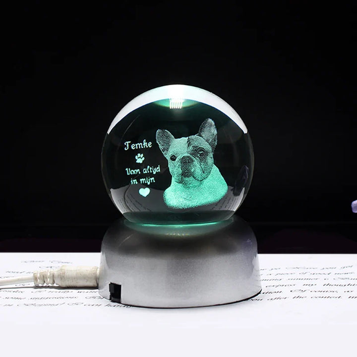 Personalized crystal ball with pet photo & LED base Stornfield