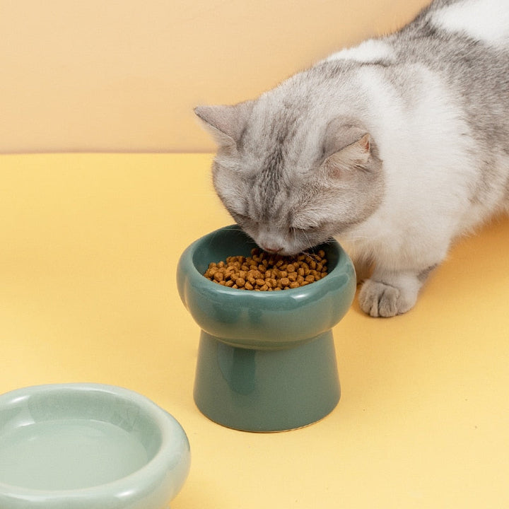 Stornfield | Luna Raised Ceramic Cat Bowls