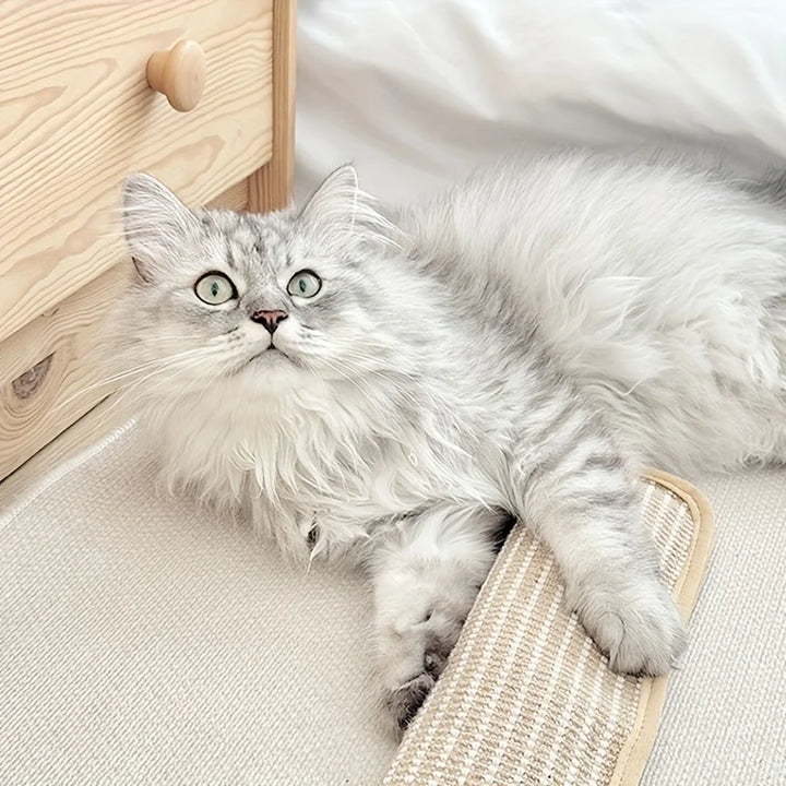 Stornfield durable and sturdy catnip scratching pillow for cats