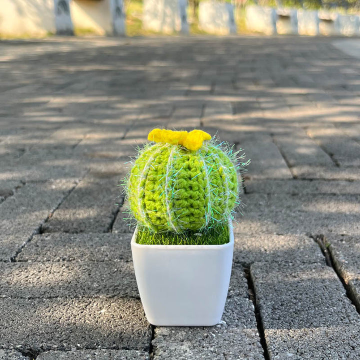 Cactus Plant (Hand-Knitted)