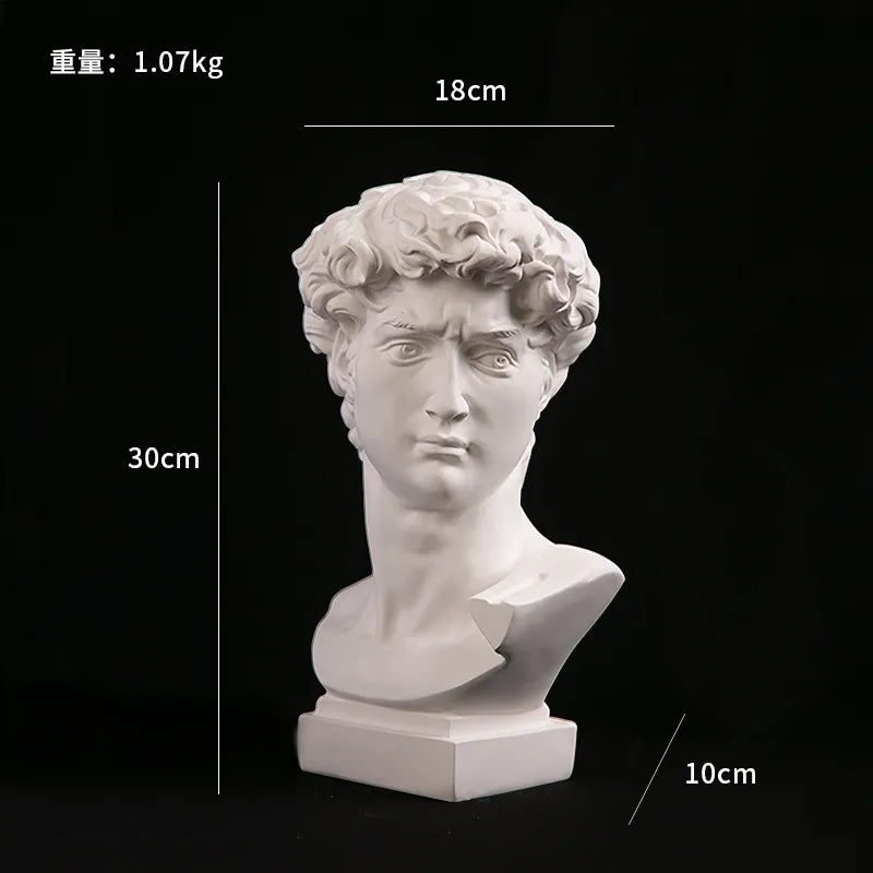 Stornfield | European Home Decor Resin David Head Statue Statues Home Decor Modern Abstract Art Sculpture Bust Art Sketch Practice