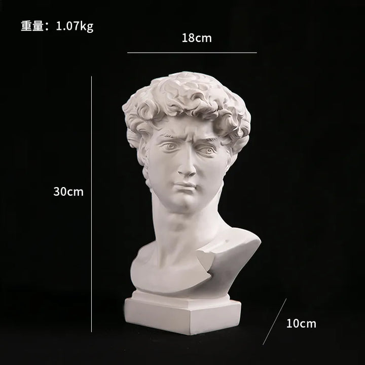 Stornfield | European Home Decor Resin David Head Statue Statues Home Decor Modern Abstract Art Sculpture Bust Art Sketch Practice