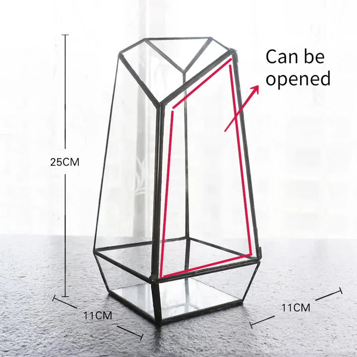 Modern Geometric Nature-Inspired Botanical Terrarium | Stornfield