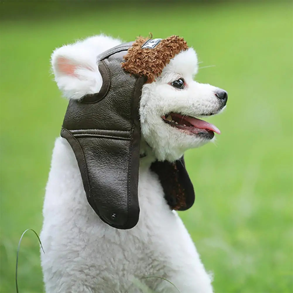 Winter pilot cap for pets warm and comfortable Stornfield