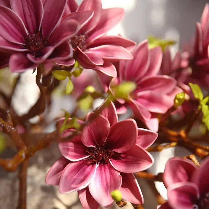 Stornfield | Artificial Magnolia Flowers