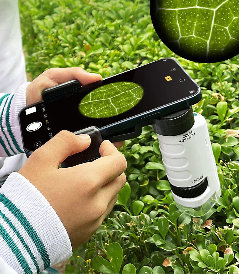 Stornfield | Portable HD Optical Adventure Microscope