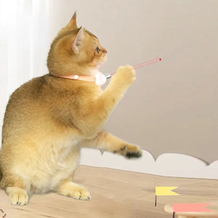 Freesthetic Laser Collar for Cats Stornfield