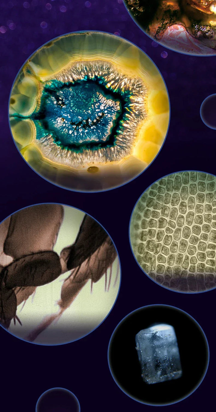 Stornfield | Portable HD Optical Adventure Microscope