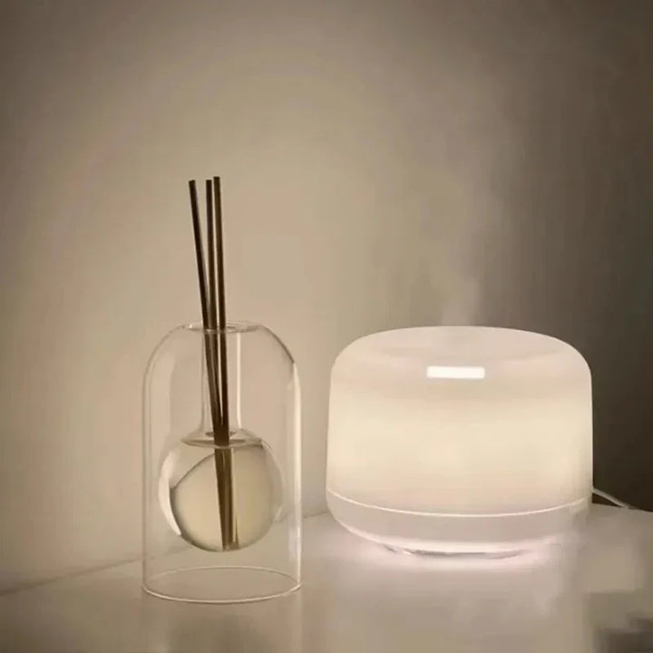Glass Hollow Aromatic Diffuser Stornfield