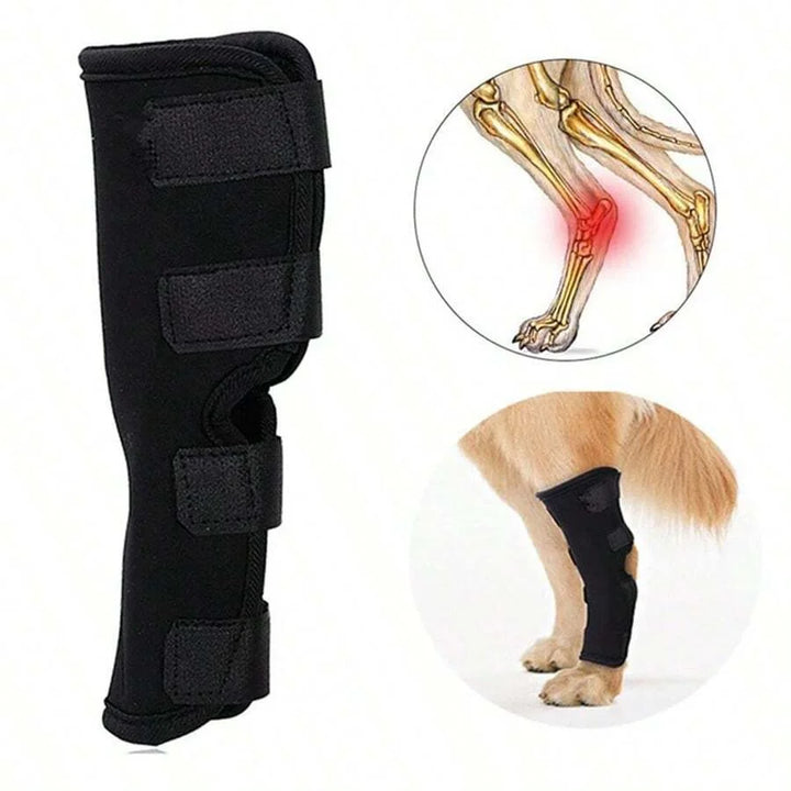 Joint support for dogs stabilizing & protecting Stornfield