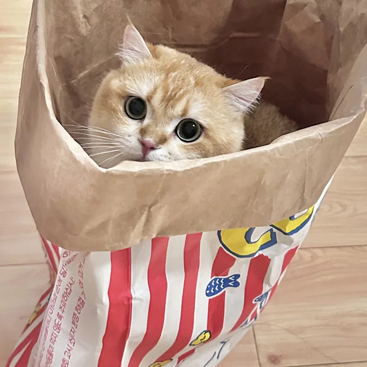 Stornfield Hide and Seek Kraft Paper Toy for Dogs & Cats