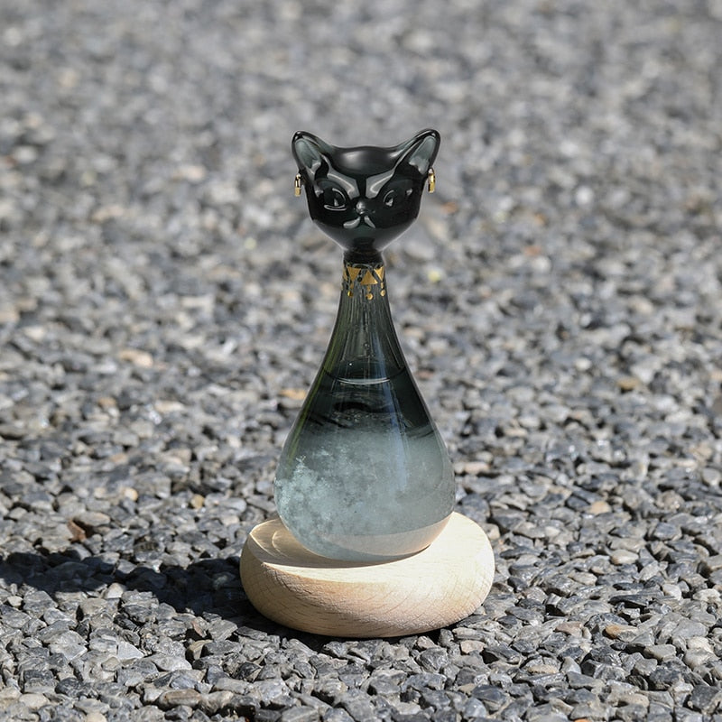 Cat-Inspired Weather Forecast Bottle | Stornfield