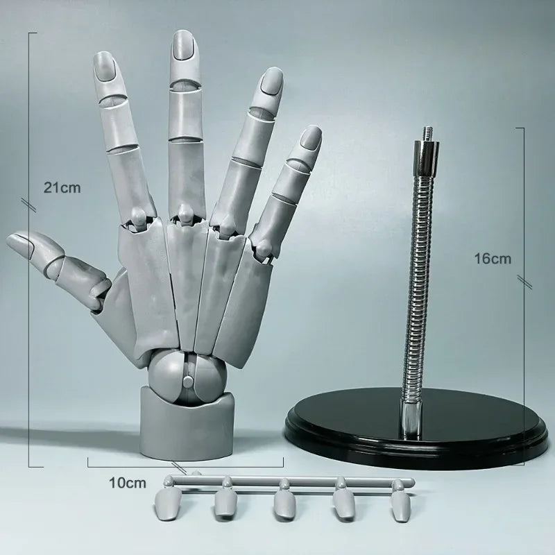 Multi-Pose Drawing Sculpting Art Hand Model | Stornfield