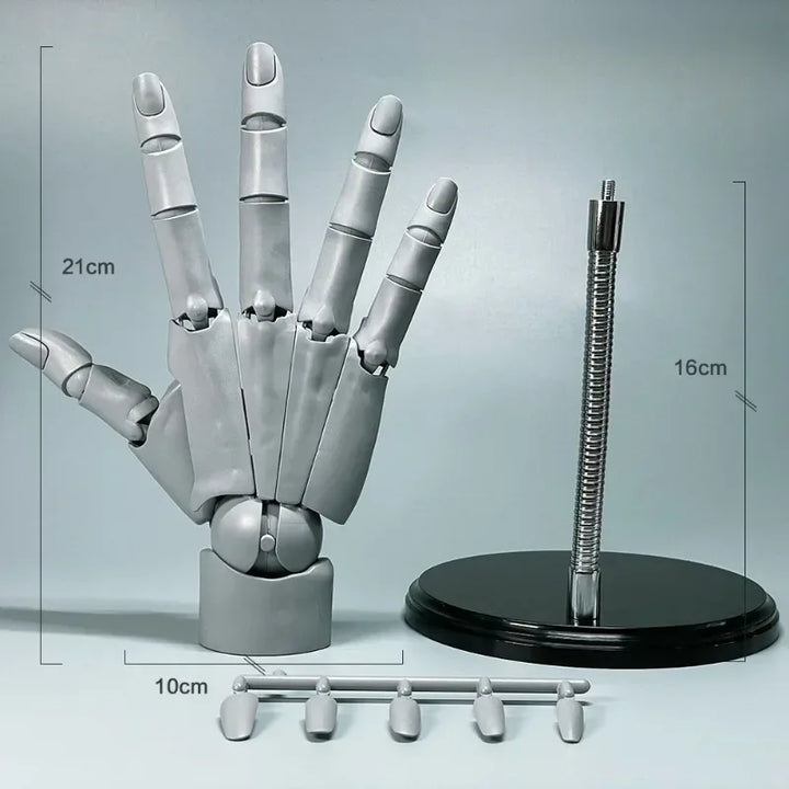 Multi-Pose Drawing Sculpting Art Hand Model | Stornfield
