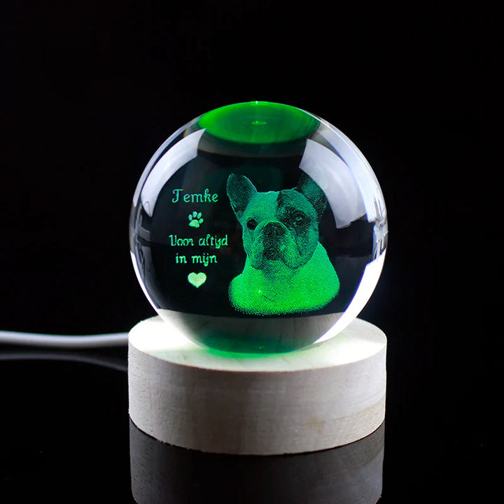 Personalized crystal ball with pet photo & LED base Stornfield