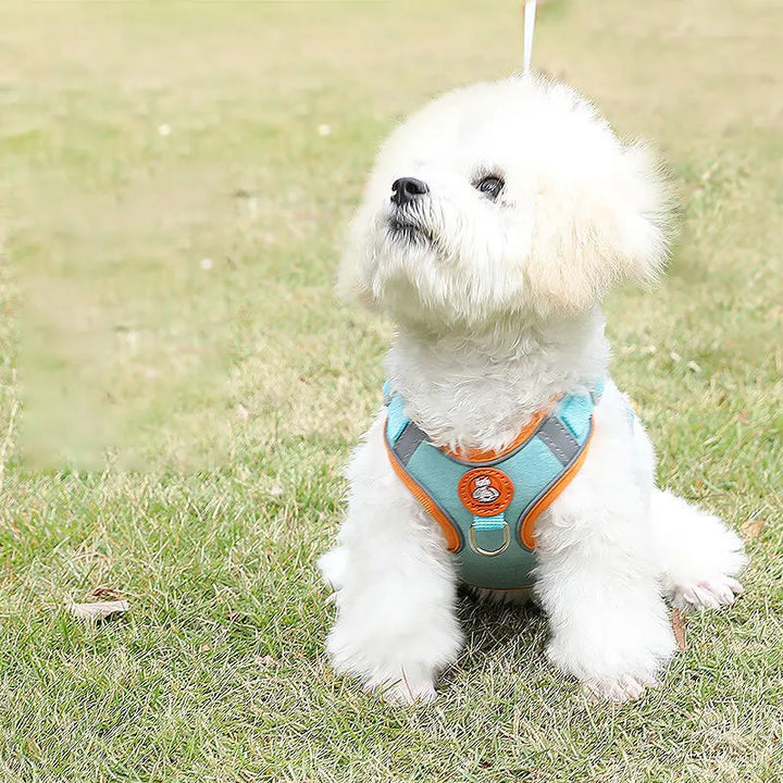 Breathable, adjustable & comfortable Stornfield dog harness
