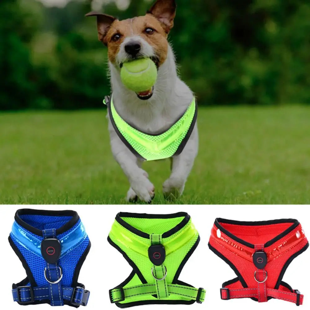 LED Dog Harness USB Rechargeable & Adjustable Stornfield