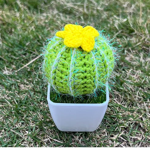 Cactus Plant (Hand-Knitted)