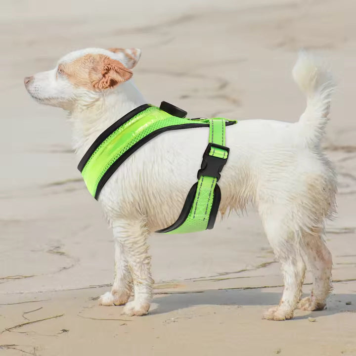 LED Dog Harness USB Rechargeable & Adjustable Stornfield