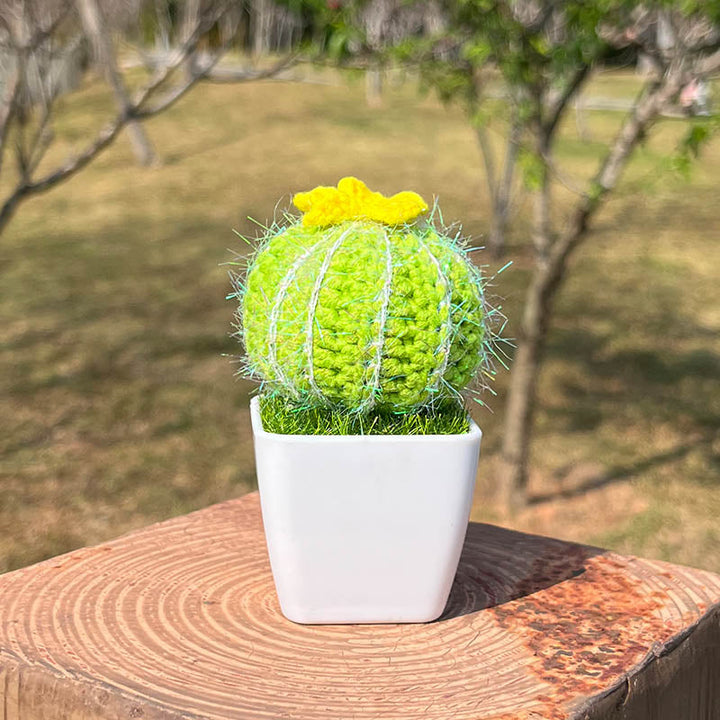 Cactus Plant (Hand-Knitted)