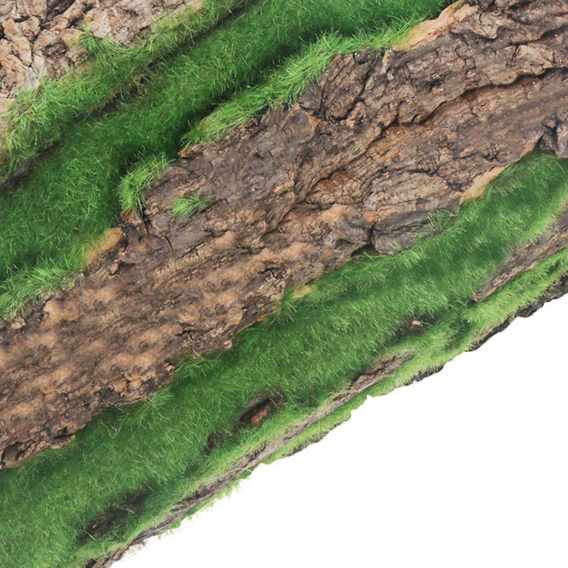 Stornfield | DIY Green Plant Bark Wall Decor