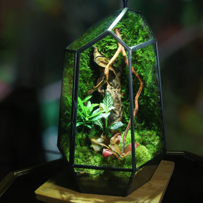 Modern Geometric Nature-Inspired Botanical Terrarium | Stornfield