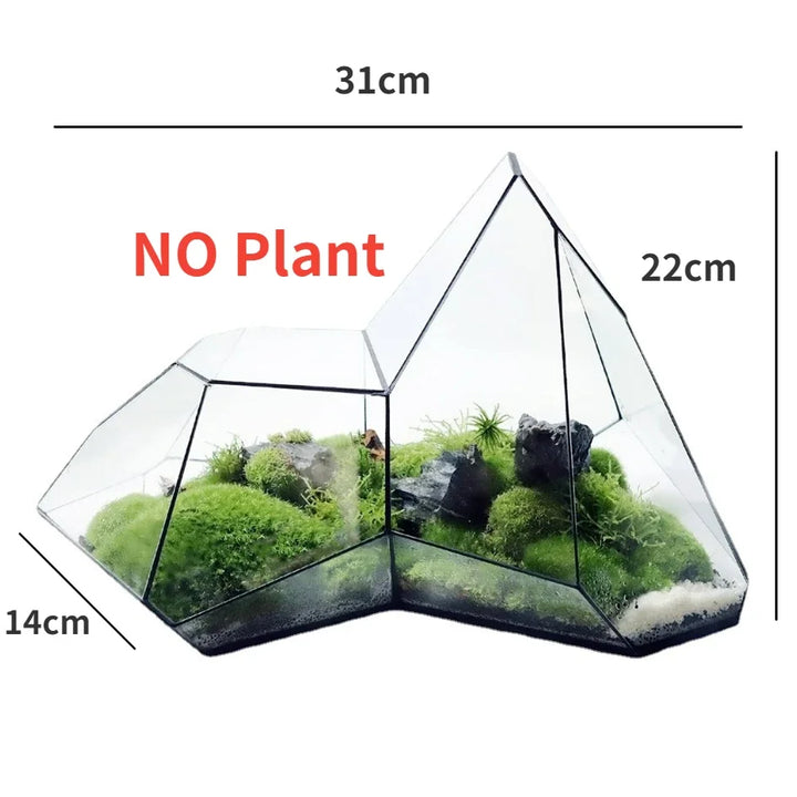 Geometric Glass Moss Planter Terrarium Vase | Stornfield